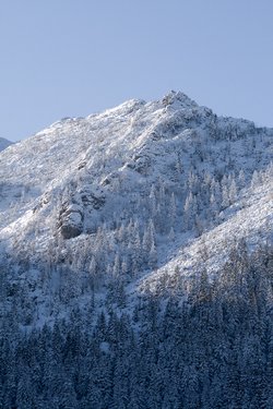 IMG_8717.jpg