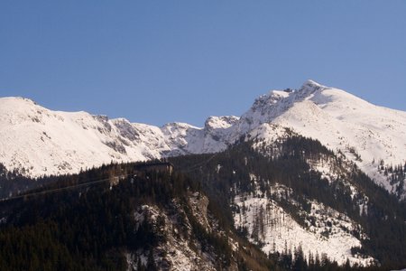 IMG_2785.jpg