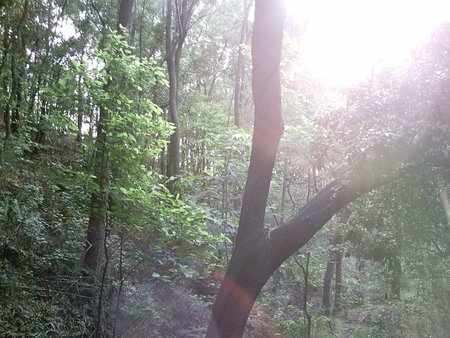 080725_feierling_outlook_068.JPG