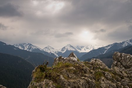 IMG_3573.jpg