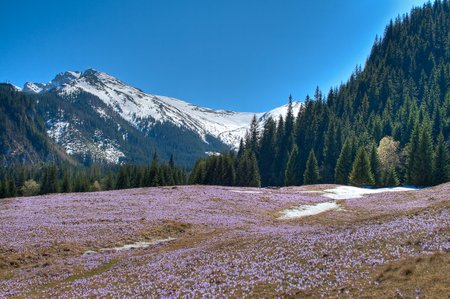_MG_1312_3_4_tonemapped.jpg