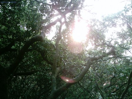 SUNP0058.JPG
