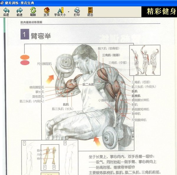 《肌肉健美训练图解 第一版(注:中文版)》一